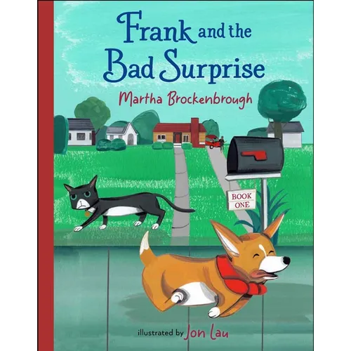 Frank and the Bad Surprise - Hardcover