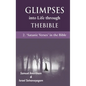 Glimpses into Life through The Bible: 2-Satanic verses in the Bible - Paperback
