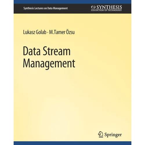 Data Stream Management - Paperback