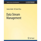 Data Stream Management - Paperback