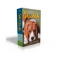 The Shiloh Collection (Boxed Set): Shiloh; Shiloh Season; Saving Shiloh; Shiloh Christmas - Boxed Set