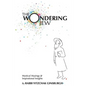 The Wondering Jew: Mystical Musings & Inspirational Insights - Paperback