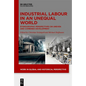Industrial Labour in an Unequal World: Ethnographic Perspectives on Uneven and Combined Development - Hardcover