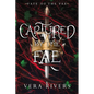 Captured by the Fae - Paperback