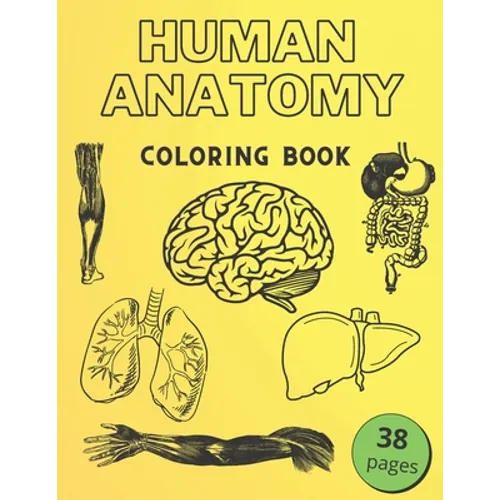 Human Anatomy Coloring Book: Informative Guide To The Human Body (internal organs the nervous system, reproductive systems and limbs) For Kids - Paperback