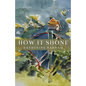 How It Shone - Paperback