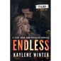 Endless: A Less Than Zero Rockstar Romance - Paperback