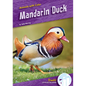 Mandarin Duck - Library Binding
