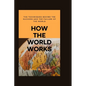 How the world works: The Techniques behind the Success and the Failure of the World - Paperback