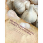Growing and Handling Garlic in California: Circular 84 - Paperback