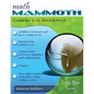 Math Mammoth Grade 1-A Worktext - Paperback