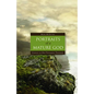 Portraits of a Mature God: Choices in Old Testament Theology - Hardcover