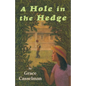 A Hole in the Hedge - Paperback