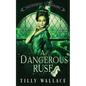 A Dangerous Ruse - Paperback