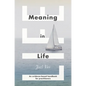 Meaning in Life: An Evidence-Based Handbook for Practitioners - Paperback