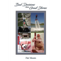 Bad Decisions Make Great Stories - Paperback