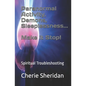 Paranormal Activity, Demons, Sleeplessness...Make it Stop!: Spiritual Troubleshooting - Paperback