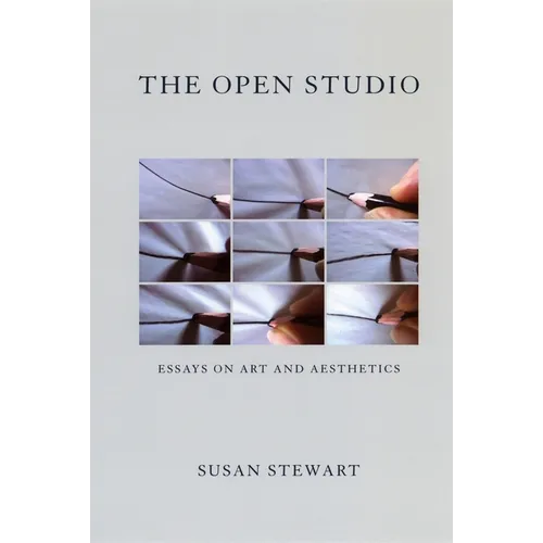 The Open Studio: Essays on Art and Aesthetics - Paperback