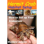 Hermit Crab Habitat Setup: Hermit Crab care and Habitat Set-up - Paperback