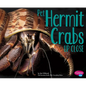 Pet Hermit Crabs Up Close - Paperback