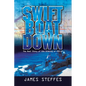 Swift Boat Down: The Real Story of the Sinking of Pcf-19 - Paperback