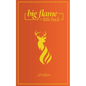 Big Flame and Little Buck - Paperback