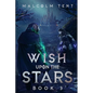 Wish Upon the Stars 3: A Superhero Cultivation LitRPG - Paperback