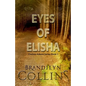 Eyes Of Elisha - Paperback