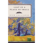 Lost in a Place So Small - Paperback