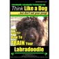 Labradoodle, Labradoodle Training AAA AKC: Think Like a Dog, But Don't Eat Your Poop! Labradoodle Breed Expert Training: Here's EXACTLY How To TRAIN Y - Paperback
