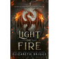 Light The Fire: A Reverse Harem Fantasy - Paperback