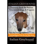 Italian Greyhound Training Book for Italian Greyhound Dogs & Puppies By D!G THIS DOG Training, Easy Dog Training, Professional Results, Training Begin - Paperback