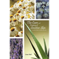 The Care and Keeping of Sensitive Skin: A Practical Guide to Holistic Skin Care - Paperback
