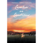 Careless or Cautious: Terri Adventures - Paperback