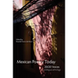 Mexican Poetry Today: 20/20 Voices - Paperback
