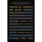 Fantastic Numbers and Where to Find Them: A Journey to the Edge of Physics - Paperback