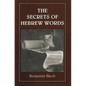 The Secrets of Hebrew Words - Paperback