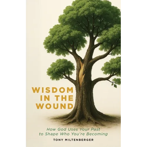 Wisdom in the Wound: How God Uses Your Past to Shape Who You're Becoming - Paperback
