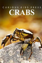 Crabs - Curious Kids Press: Kids book about animals and wildlife, Children's books 4-6 - Paperback