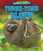 Three-Toed Sloth - Library Binding