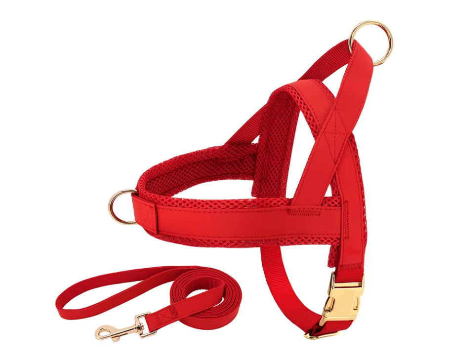 Lettering Large Dog  Vest Chest Harness