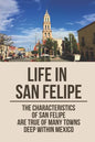 Life In San Felipe: The Characteristics Of San Felipe Are True Of Many Towns Deep Within Mexico: San Felipe Baja - Paperback