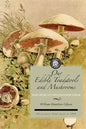 Our Edible Toadstools and Mushrooms: A Selection of Thirty Native Food Varieties, Easily Recognizable by Their Marked Individualities, with Simple Rul - Paperback