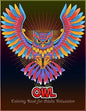 Owl coloring book for Adults relaxation: An Adult Coloring Book with 50 Unique Owl for Relaxation and Stress Relief - Paperback