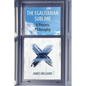 The Egalitarian Sublime: A Process Philosophy - Paperback