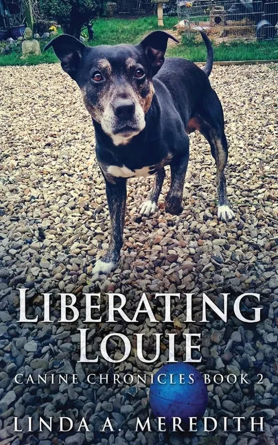 Liberating Louie: The Road To Rutland - Paperback