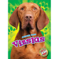Vizslas - Library Binding