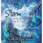 The Storm - Hardcover