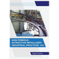 Non-Ferrous Extractive Metallurgy - Industrial Practices - 2nd Ed - Paperback