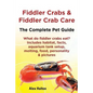 Fiddler Crabs & Fiddler Crab Care. Complete Pet Guide. What Do Fiddler Crabs Eat? Includes Habitat, Facts, Aquarium Tank Setup, Molting, Food, Persona - Paperback